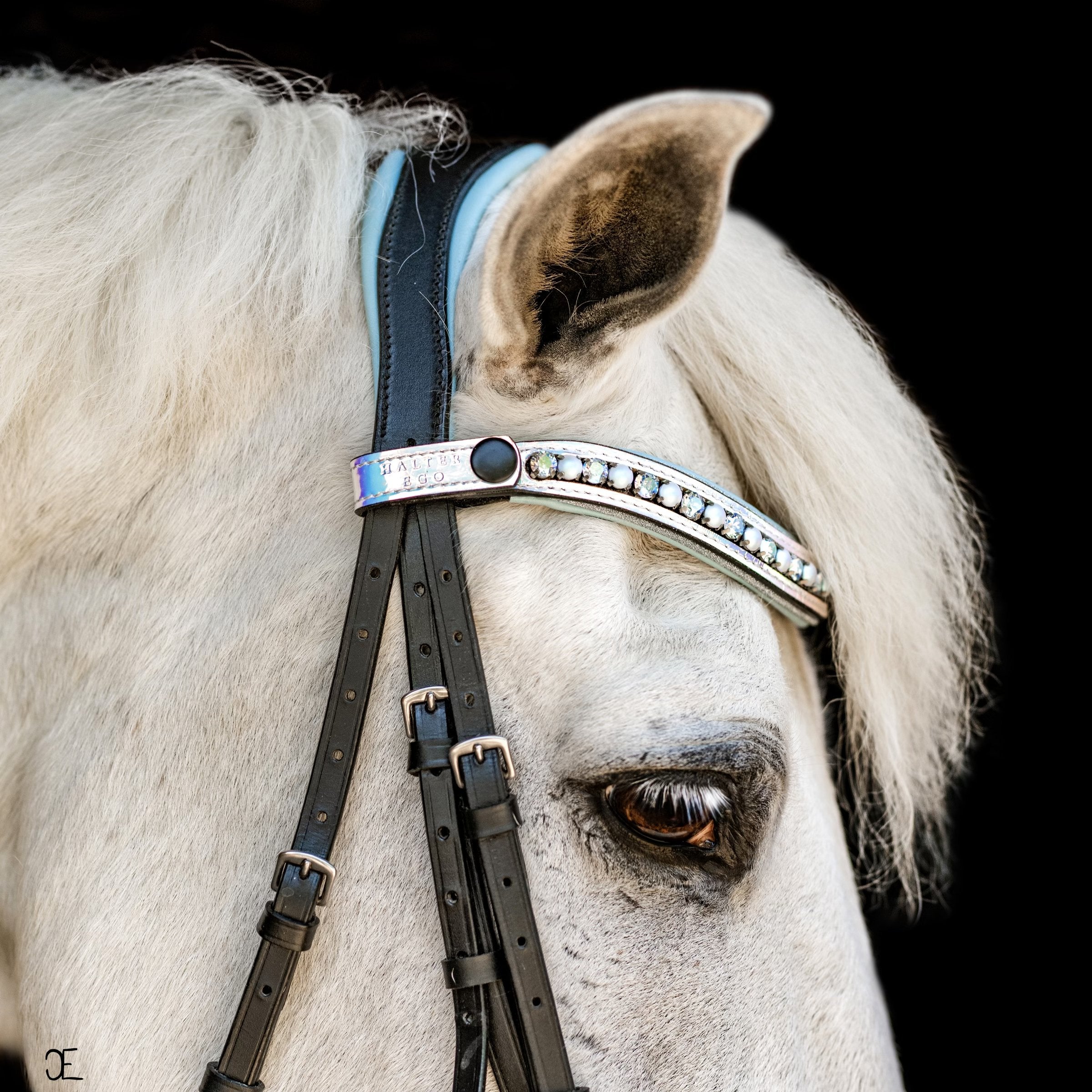 Halter Ego Elsa Neon Patent Snaffle Bridle - Halter Ego® - Equiluxe Tack