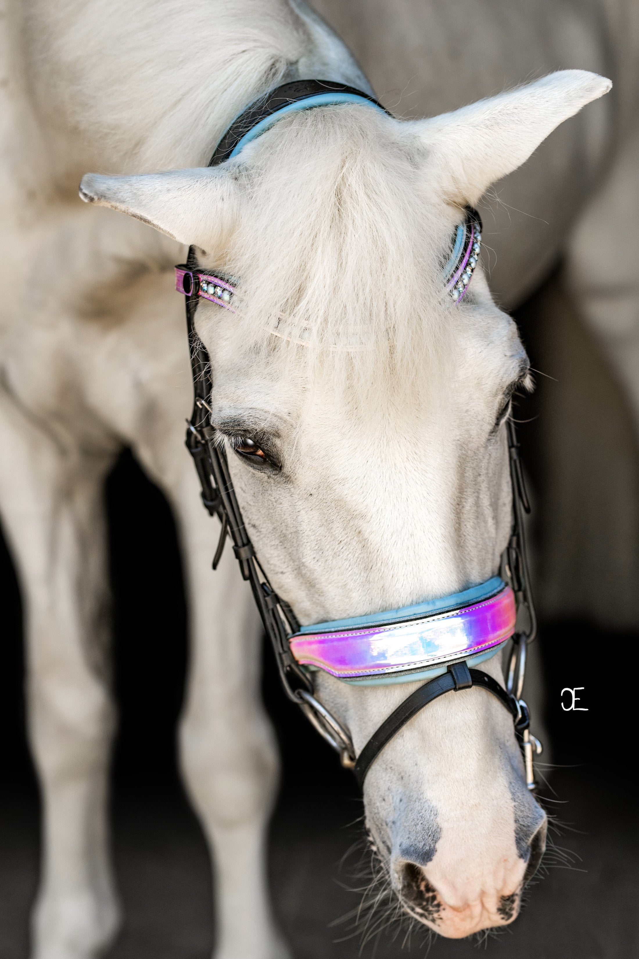 Halter Ego Elsa Neon Patent Snaffle Bridle - Halter Ego® - Equiluxe Tack