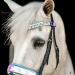 Halter Ego Elsa Neon Patent Snaffle Bridle - Halter Ego® - Equiluxe Tack