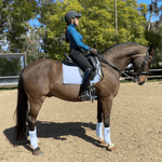 Halter Ego European Cotton Dressage Saddle Pad - White & Black Twist Trim - Halter Ego® - Equiluxe Tack