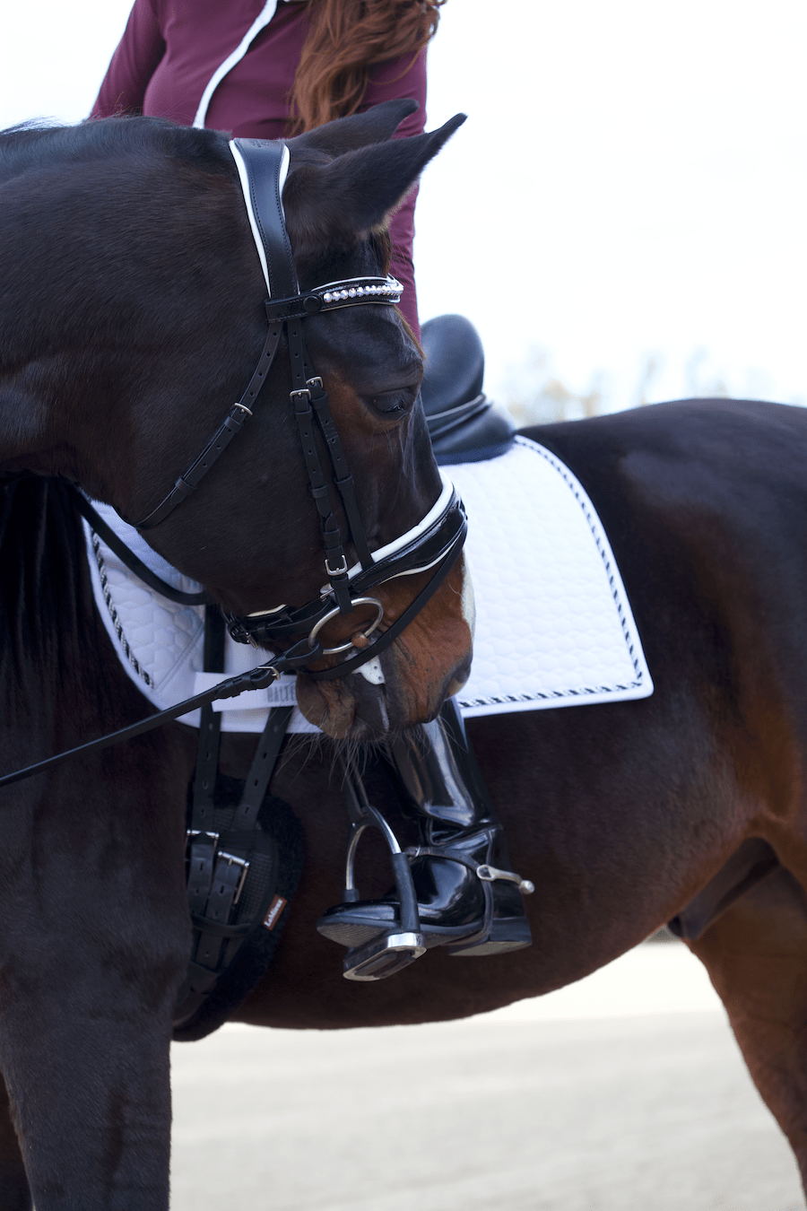 Halter Ego European Cotton Dressage Saddle Pad - White & Black Twist Trim - Halter Ego® - Equiluxe Tack