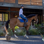 Halter Ego Evolution Knee Patch Breeches - Cadet Blue - Equiluxe Tack