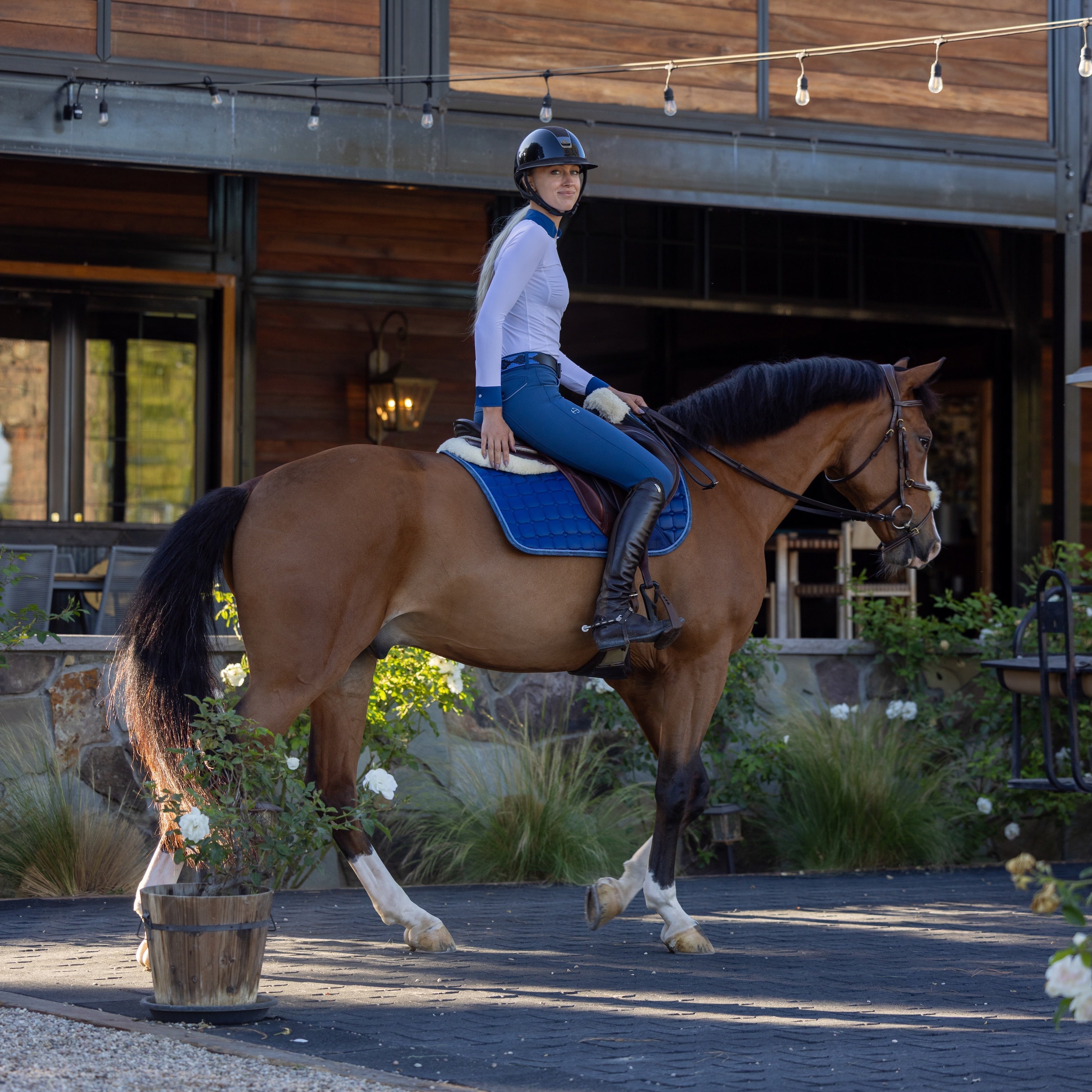 Halter Ego Evolution Knee Patch Breeches - Cadet Blue - Equiluxe Tack