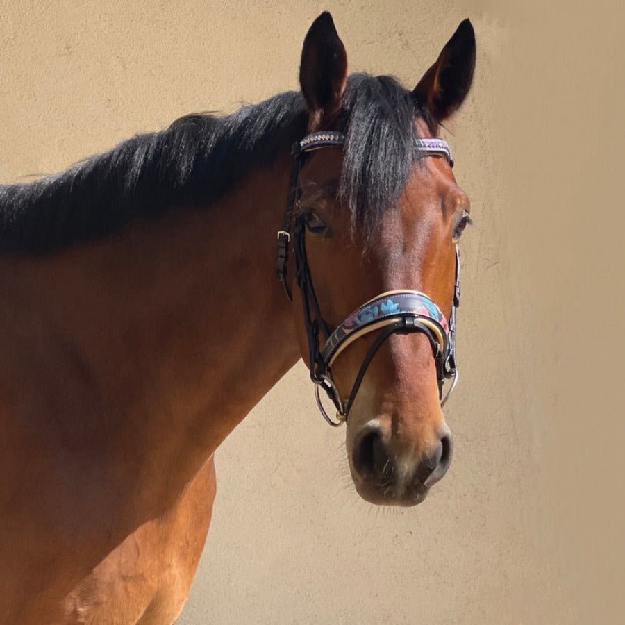 Halter Ego Fleur Snaffle Bridle - Cream Padding - Halter Ego® - Equiluxe Tack