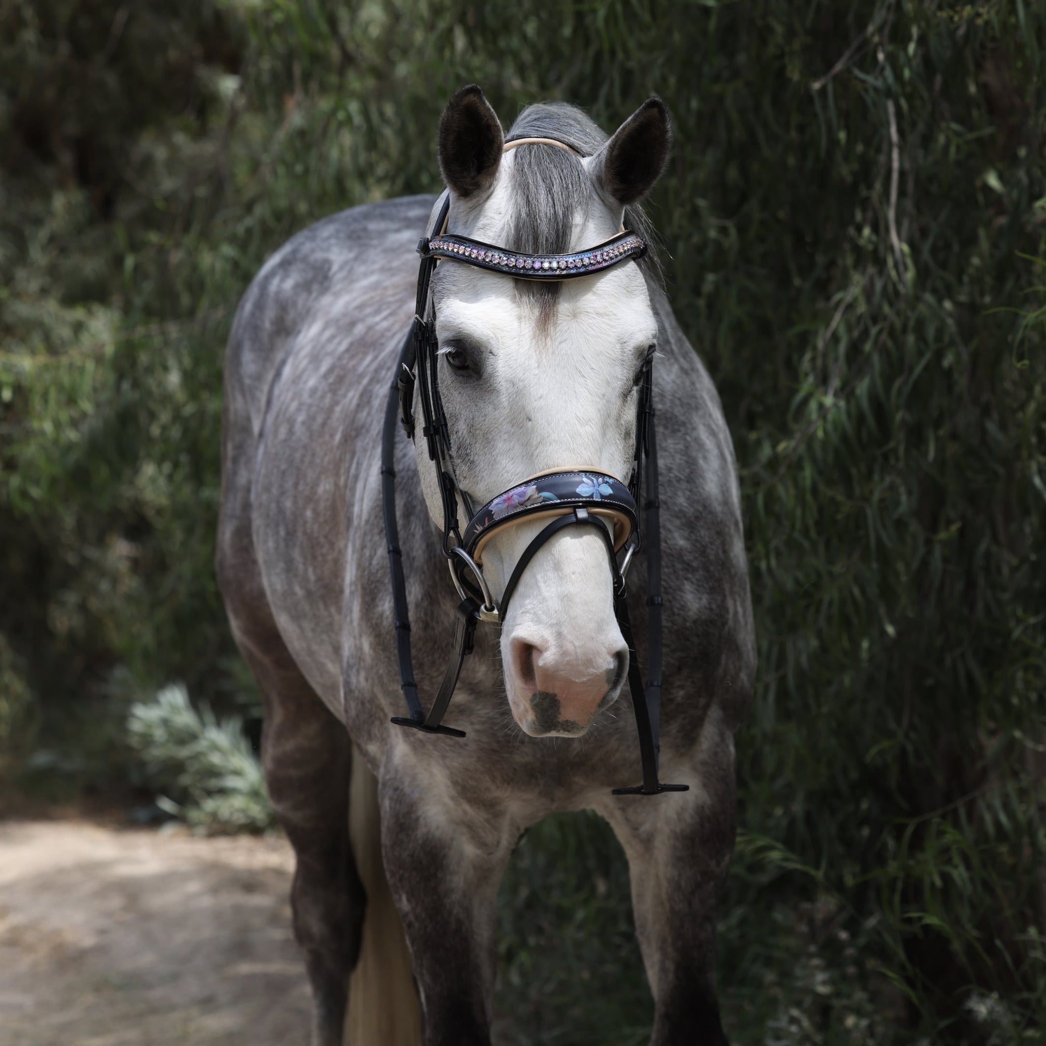 Halter Ego Fleur Snaffle Bridle - Cream Padding - Halter Ego® - Equiluxe Tack