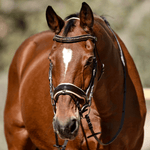 Halter Ego Florentina - Brown Patent Leather Snaffle with Cream Padding & Rose Gold Piping - Equiluxe Tack