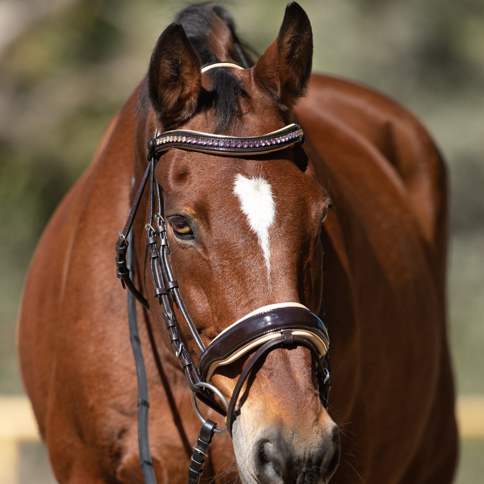 Halter Ego Florentina - Brown Patent Leather Snaffle with Cream Padding & Rose Gold Piping - Equiluxe Tack