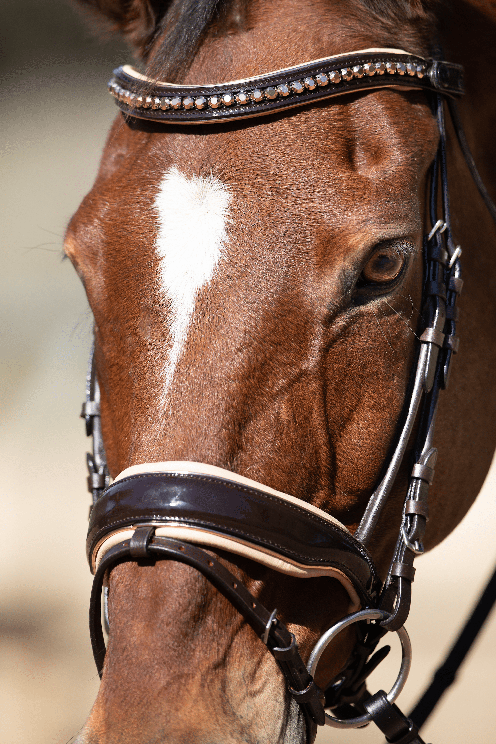 Halter Ego Florentina - Brown Patent Leather Snaffle with Cream Padding & Rose Gold Piping - Equiluxe Tack
