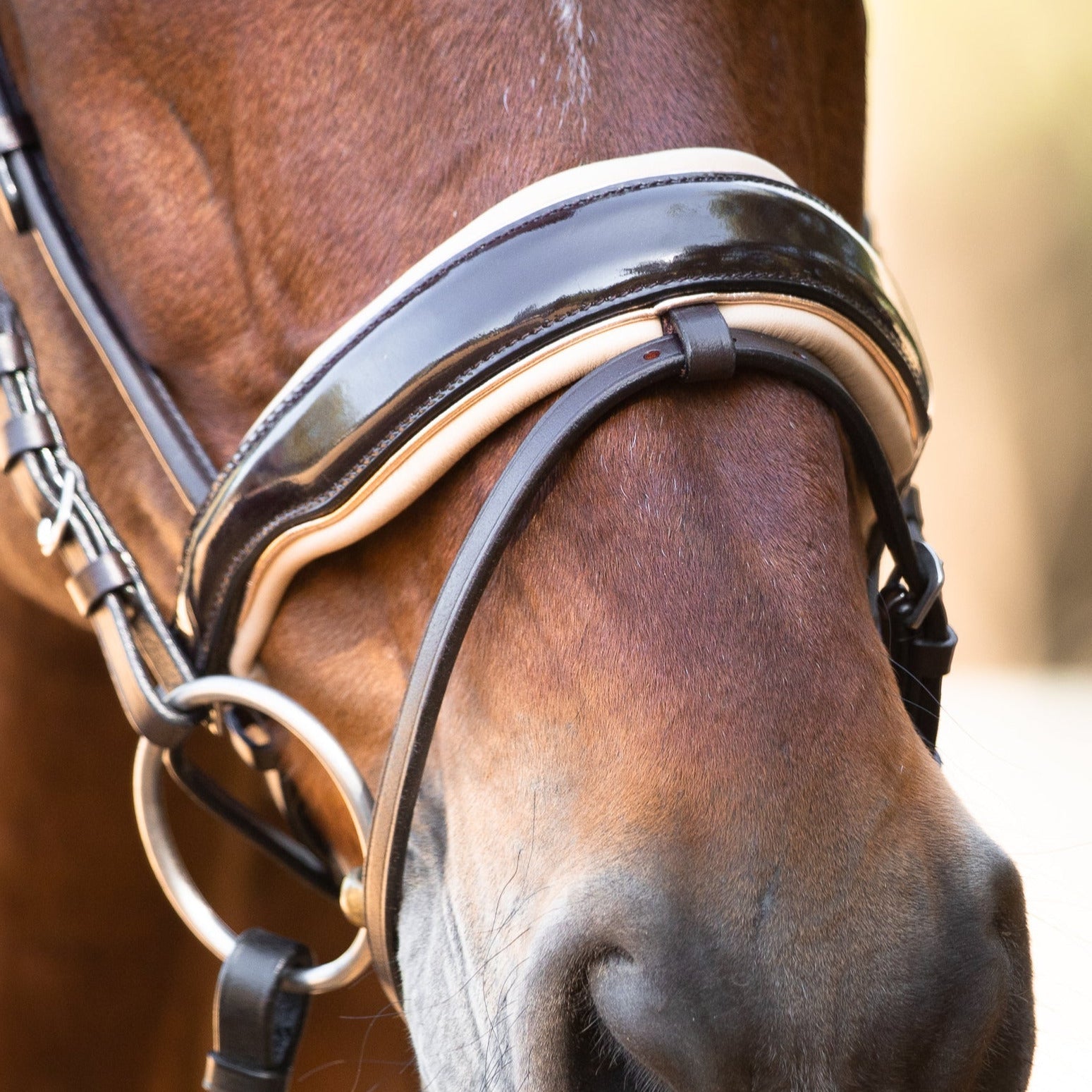 Halter Ego Florentina - Brown Patent Leather Snaffle with Cream Padding & Rose Gold Piping - Equiluxe Tack