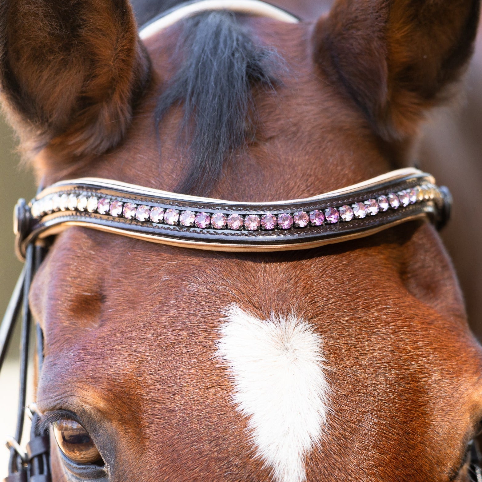 Halter Ego Florentina - Brown Patent Leather Snaffle with Cream Padding & Rose Gold Piping - Equiluxe Tack