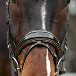 Halter Ego Geneva - Black Patent Snaffle Bridle with Metallic Gold Piping - Halter Ego® - Equiluxe Tack