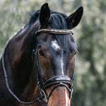 Halter Ego Geneva - Black Patent Snaffle Bridle with Metallic Gold Piping - Halter Ego® - Equiluxe Tack