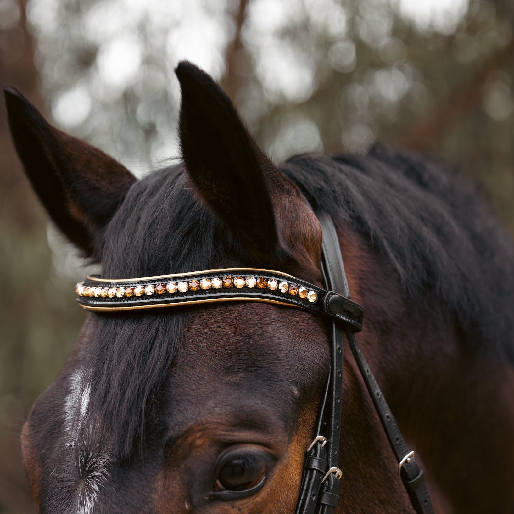 Halter Ego Geneva - Black Patent Snaffle Bridle with Metallic Gold Piping - Halter Ego® - Equiluxe Tack