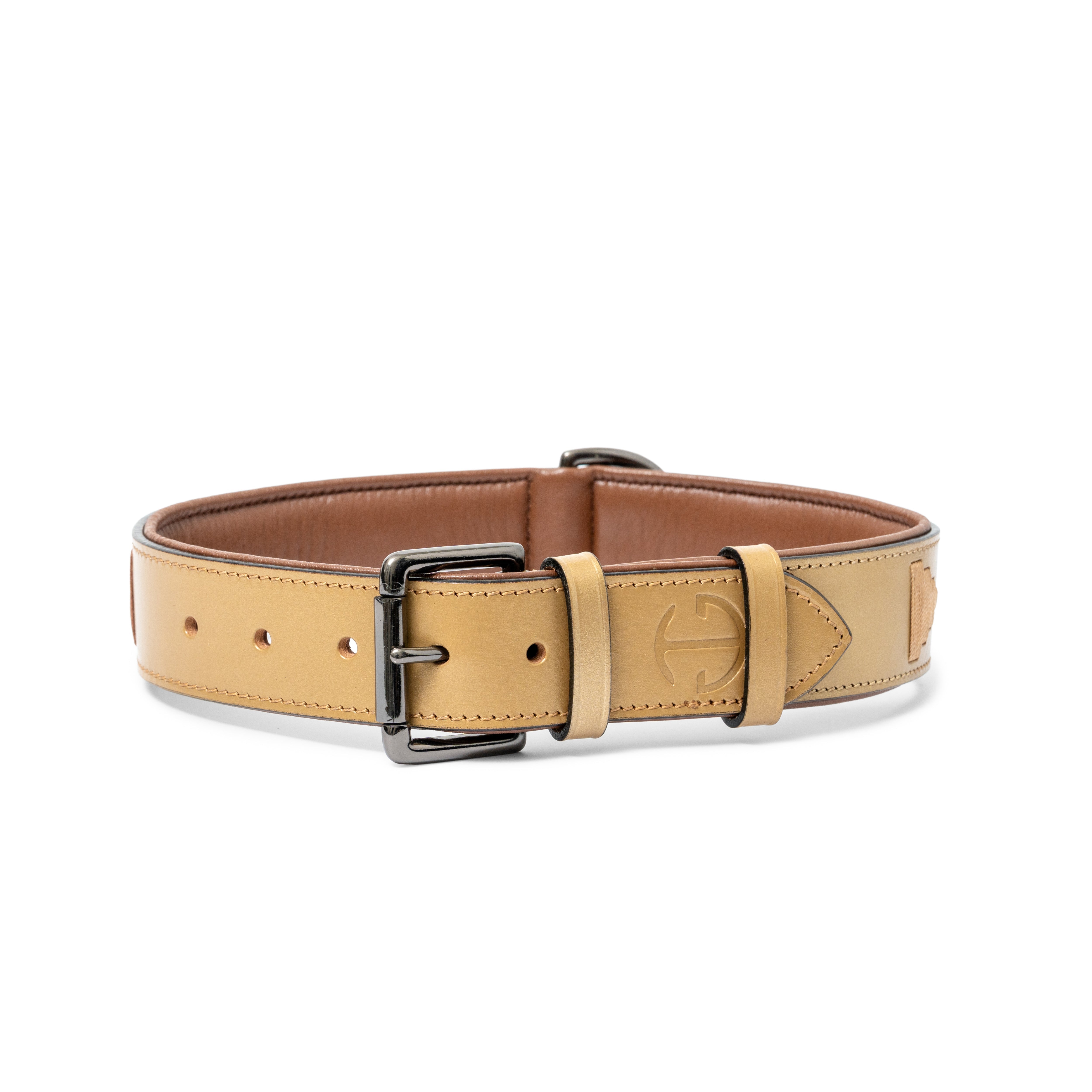 Halter Ego Gilded Solstice Leather Dog Collar - Equiluxe Tack