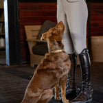 Halter Ego Gilded Solstice Leather Dog Collar - Equiluxe Tack