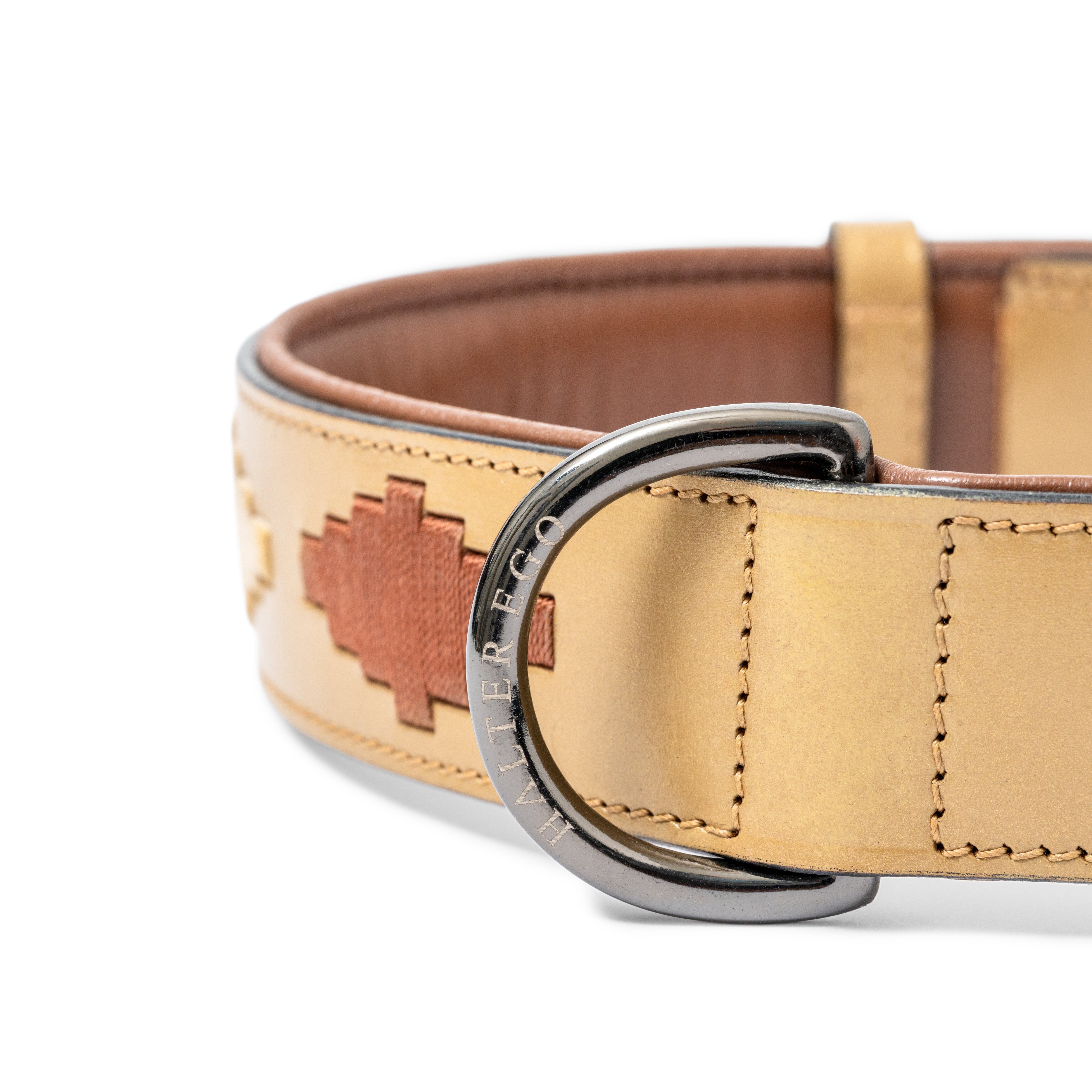 Halter Ego Gilded Solstice Leather Dog Collar - Equiluxe Tack