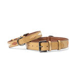 Halter Ego Gilded Solstice Leather Dog Collar - Equiluxe Tack