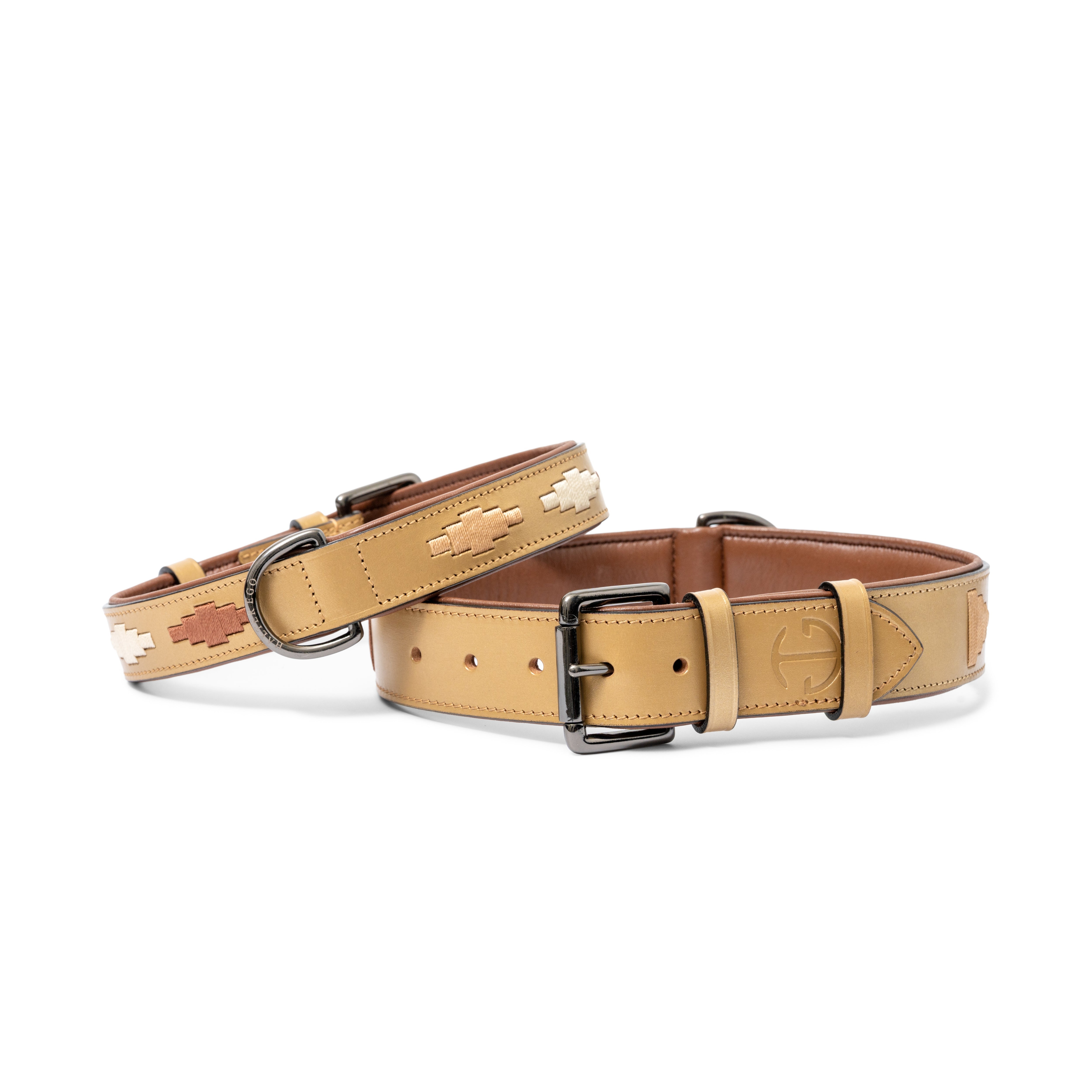 Halter Ego Gilded Solstice Leather Dog Collar - Equiluxe Tack