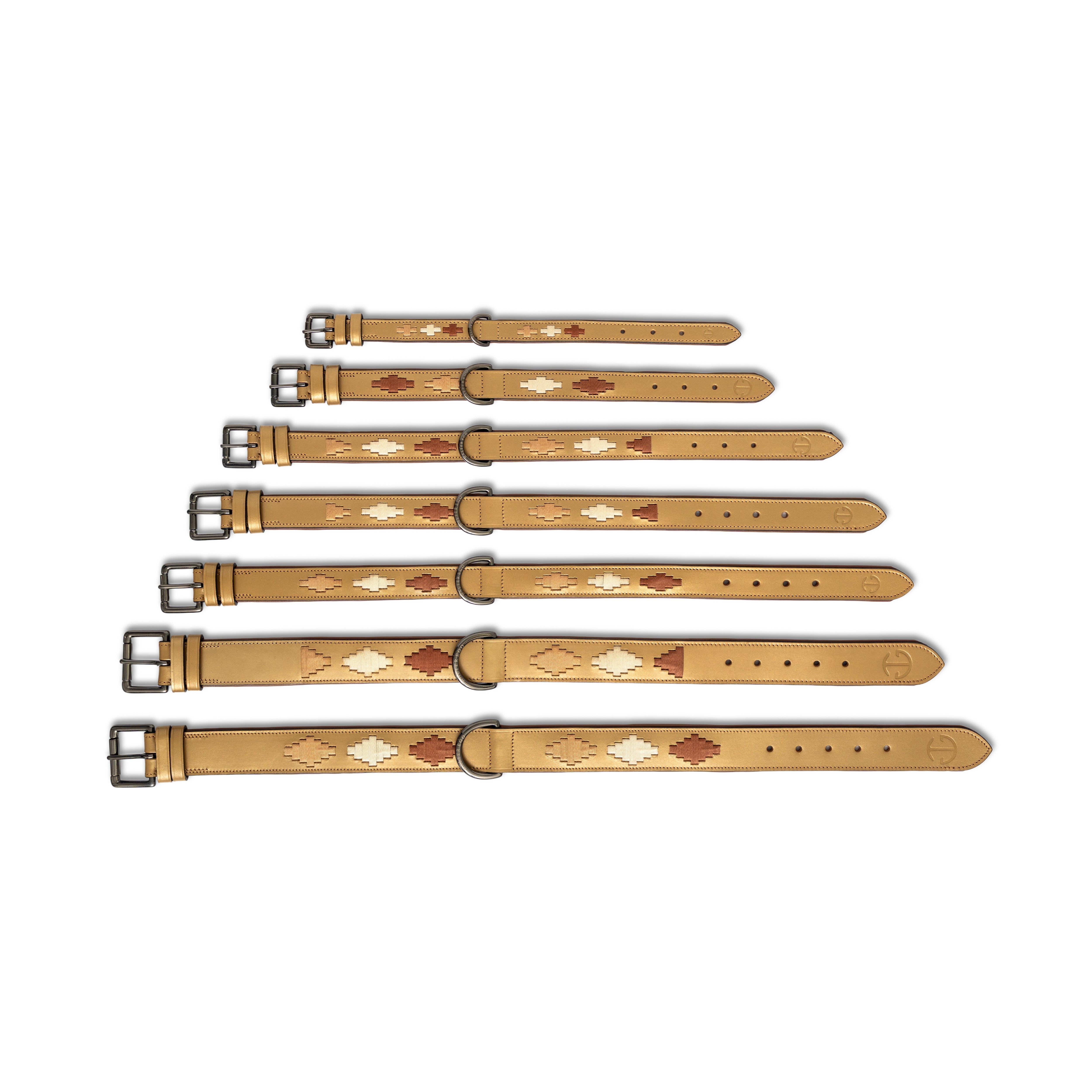 Halter Ego Gilded Solstice Leather Dog Collar - Equiluxe Tack
