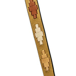 Halter Ego Gilded Solstice Leather Dog Leash - Equiluxe Tack