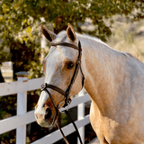 Halter Ego Halifax - Brown Leather Hunter Bridle - Halter Ego® - Equiluxe Tack