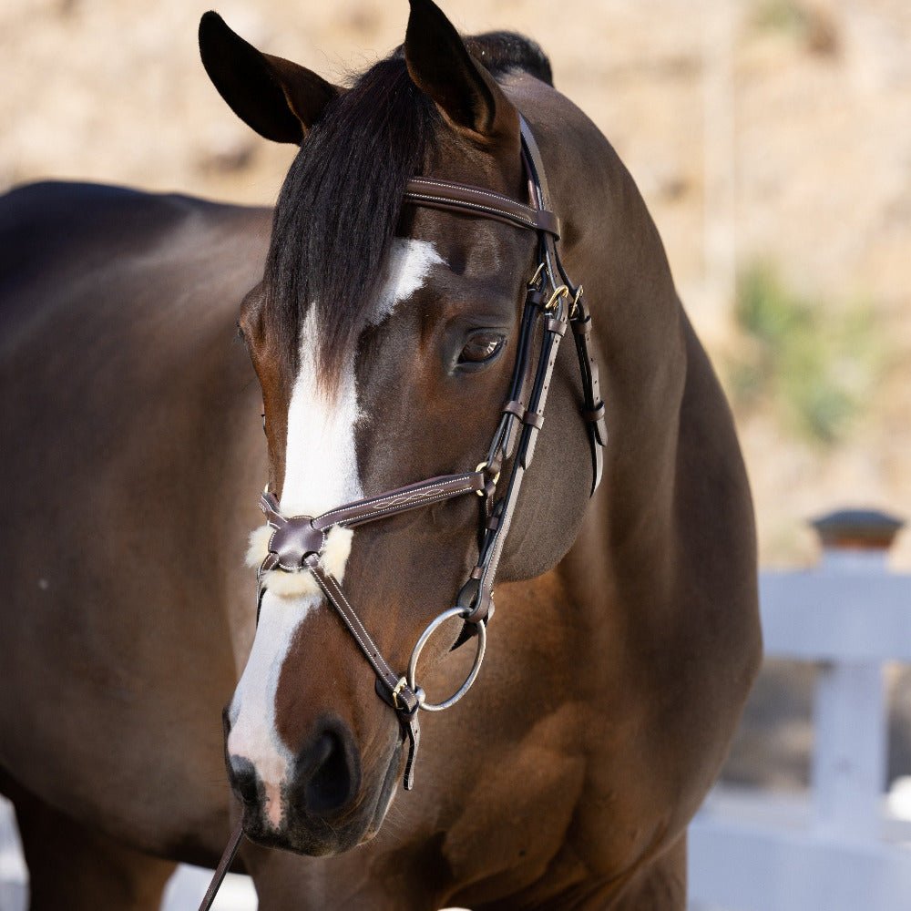Halter Ego Hickstead Anatomical Brown Leather Figure - 8 Bridle - Halter Ego® - Equiluxe Tack