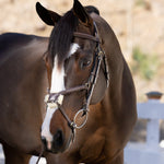 Halter Ego Hickstead Anatomical Brown Leather Figure - 8 Bridle - Halter Ego® - Equiluxe Tack