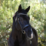 Halter Ego Highland Rolled Black Anatomical Snaffle Bridle - Halter Ego® - Equiluxe Tack