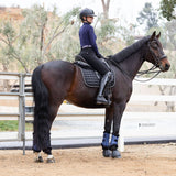 Halter Ego Kimberly Full Seat Breeches - Black - Halter Ego® - Equiluxe Tack