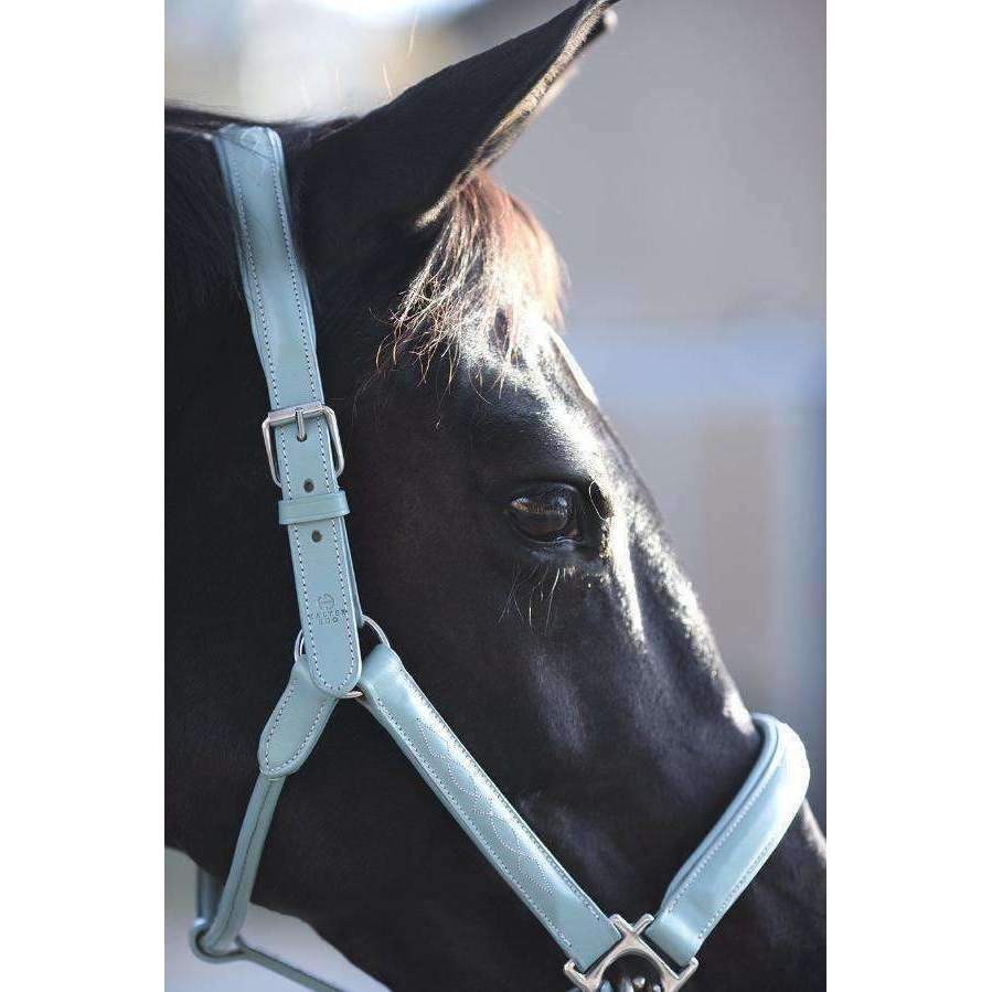 Halter Ego® Leather Halter With Top Stitching - Tiffany Blue - Halter Ego® - Equiluxe Tack