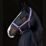 Halter Ego Leather Halter With Top Stitching - Violet Purple - Halter Ego® - Equiluxe Tack