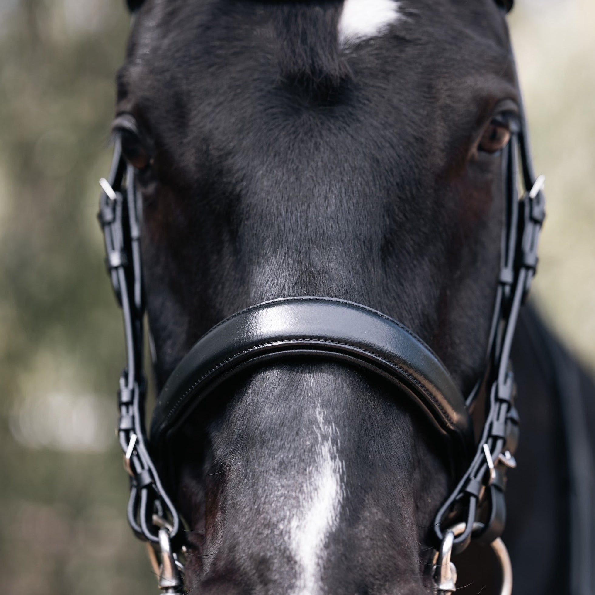 Halter Ego® 'Lexington' Non - Patent Black Leather Double Bridle - Halter Ego® - Equiluxe Tack