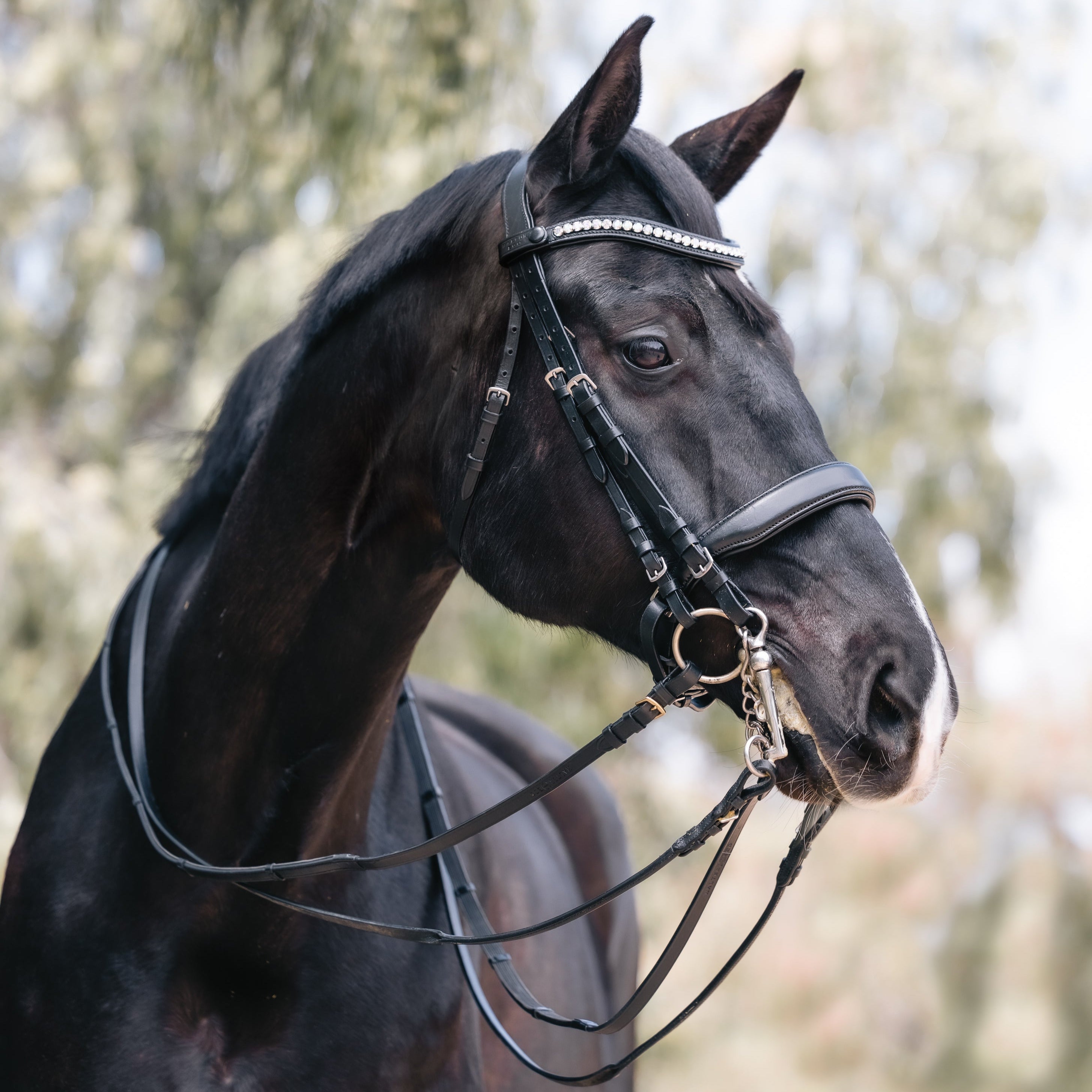 Halter Ego® 'Lexington' Non - Patent Black Leather Double Bridle - Halter Ego® - Equiluxe Tack