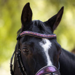 Halter Ego Limited Edition Cosmopolitan Snaffle Bridle - Halter Ego® - Equiluxe Tack