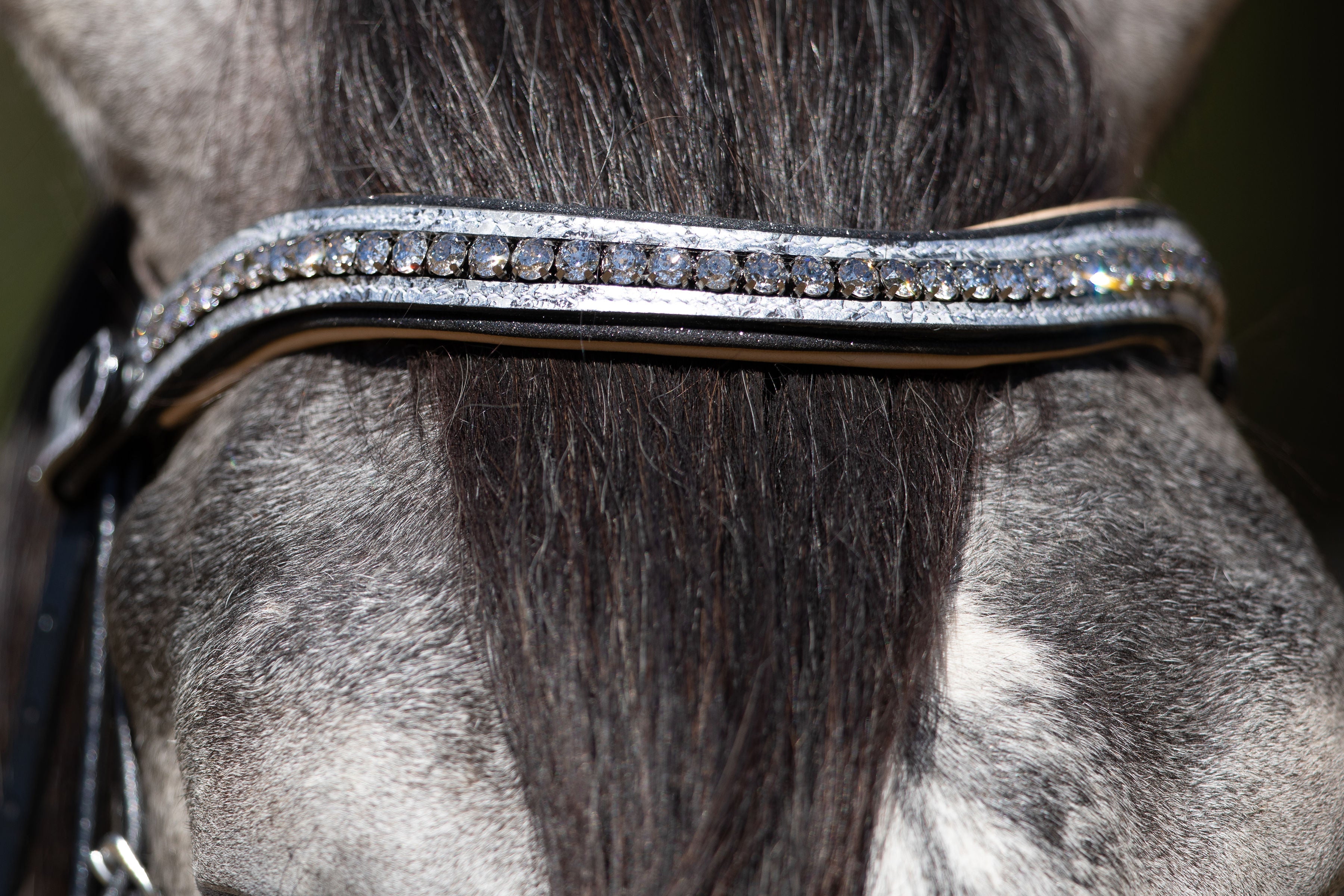 Halter Ego Limited Edition Venetian Snaffle Bridle - Halter Ego® - Equiluxe Tack