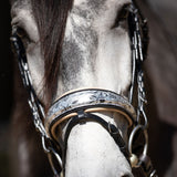 Halter Ego Limited Edition Venetian Snaffle Bridle - Halter Ego® - Equiluxe Tack