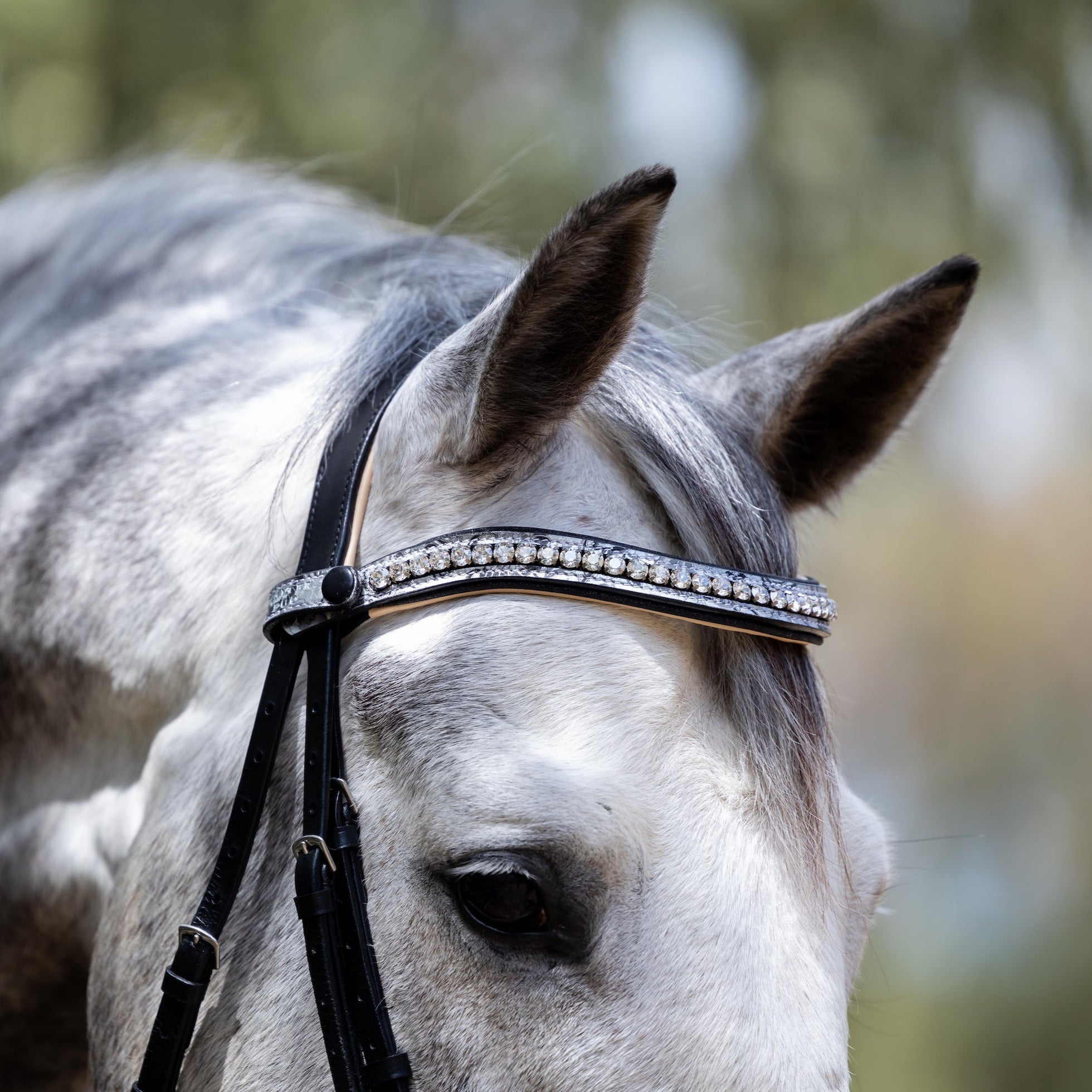 Halter Ego Limited Edition Venetian Snaffle Bridle - Halter Ego® - Equiluxe Tack