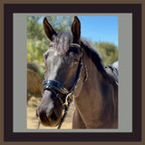 Halter Ego Madison - Black Patent Gunmetal Sparkle Snaffle Bridle - Halter Ego® - Equiluxe Tack