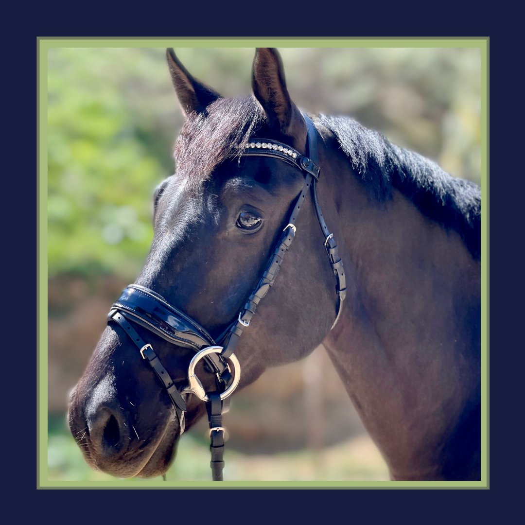 Halter Ego Madison - Black Patent Gunmetal Sparkle Snaffle Bridle - Halter Ego® - Equiluxe Tack