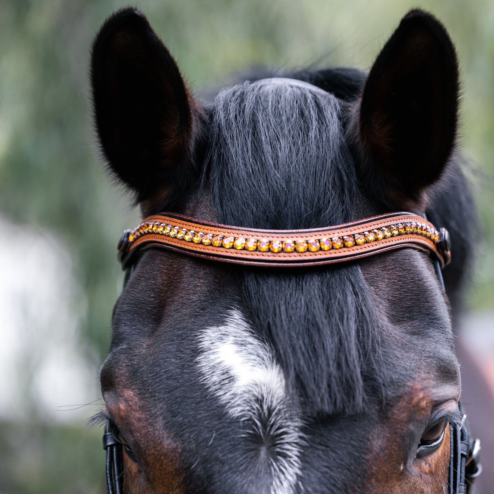 Halter Ego Madrid - Cognac Leather Snaffle Bridle With Flash - Halter Ego® - Equiluxe Tack