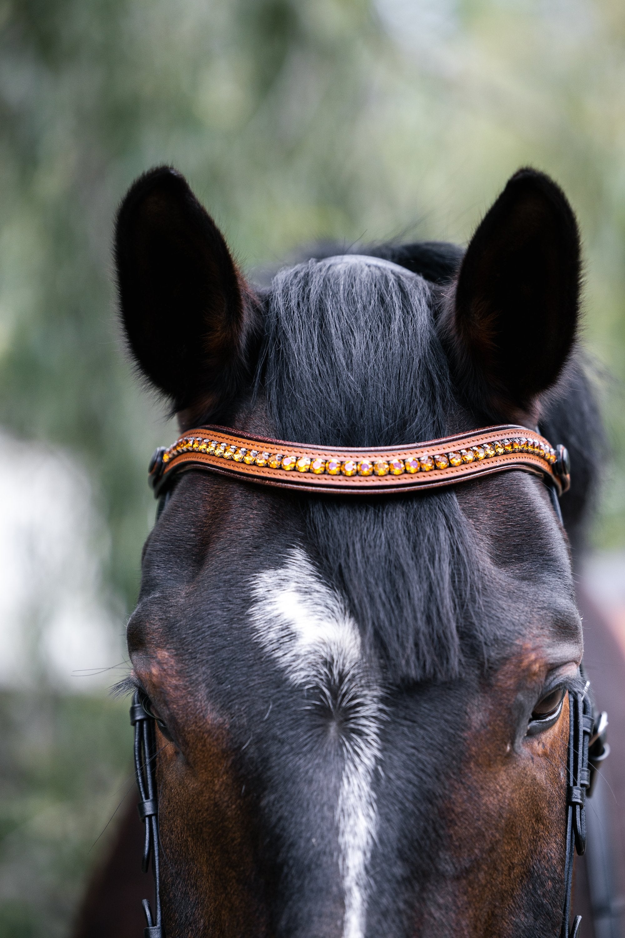 Halter Ego Madrid - Cognac Leather Snaffle Bridle With Flash - Halter Ego® - Equiluxe Tack