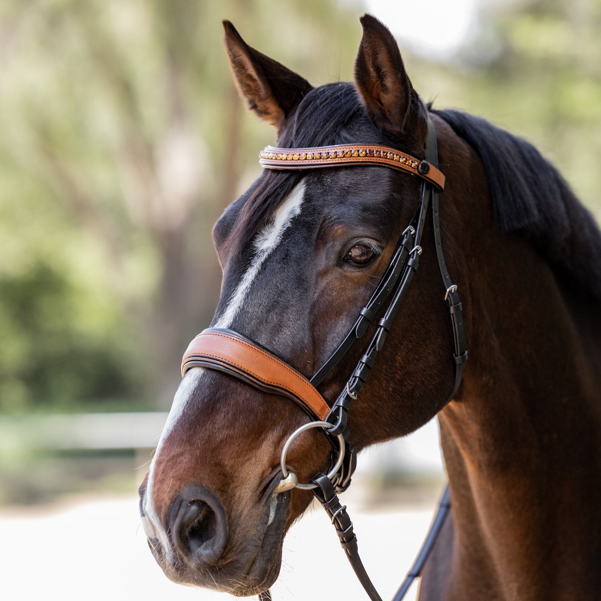 Halter Ego Madrid - Cognac Leather Snaffle Bridle With Flash - Halter Ego® - Equiluxe Tack