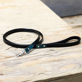 Halter Ego® Metallic Teal Croc Leather Dog Collar - Halter Ego® - Equiluxe Tack