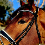 Halter Ego Monaco Rolled Leather Black Patent Snaffle Bridle - Halter Ego® - Equiluxe Tack