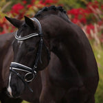 Halter Ego Monaco Rolled Leather Black Patent Snaffle Bridle - Halter Ego® - Equiluxe Tack