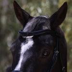 Halter Ego Natalia Black Patent Snaffle Bridle - Black Shimmer - Halter Ego® - Equiluxe Tack