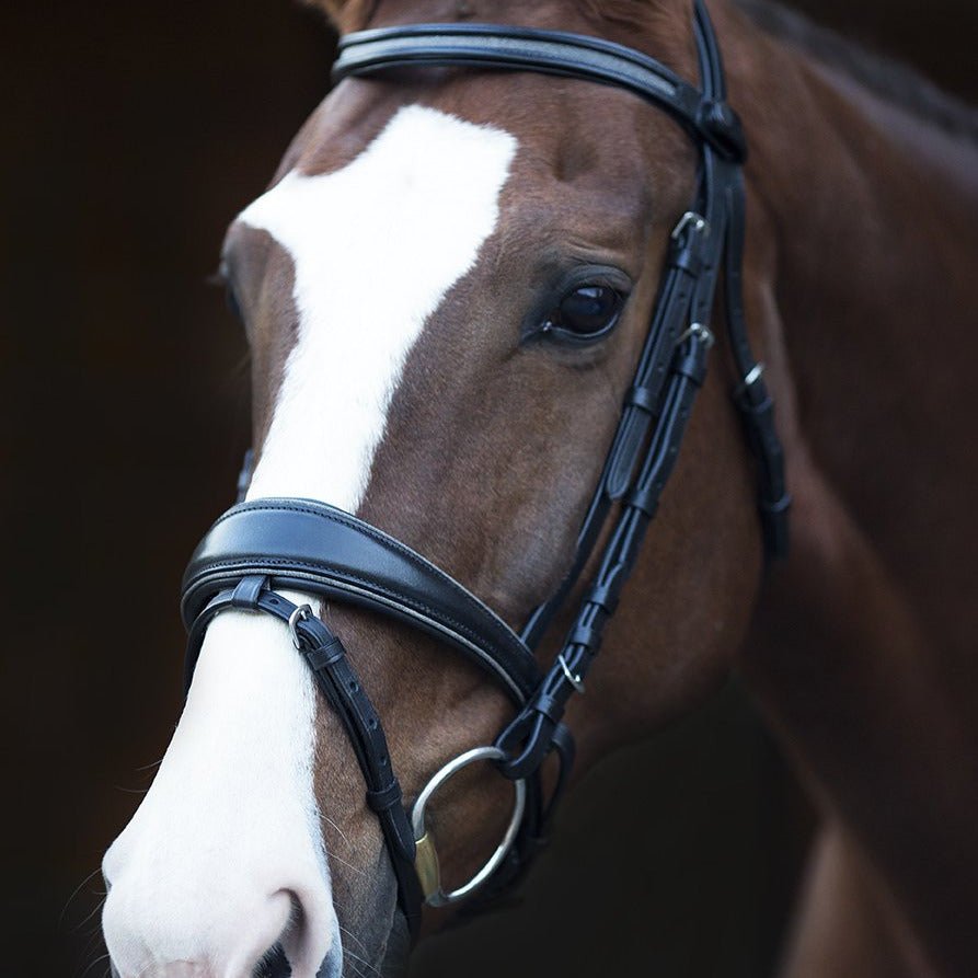 Halter Ego Natalia Snaffle Bridle - Gunmetal Shimmer - Halter Ego® - Equiluxe Tack