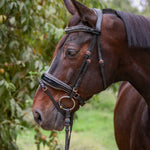 Halter Ego New Yorker Rose Gold Black Patent Snaffle Bridle - Halter Ego® - Equiluxe Tack