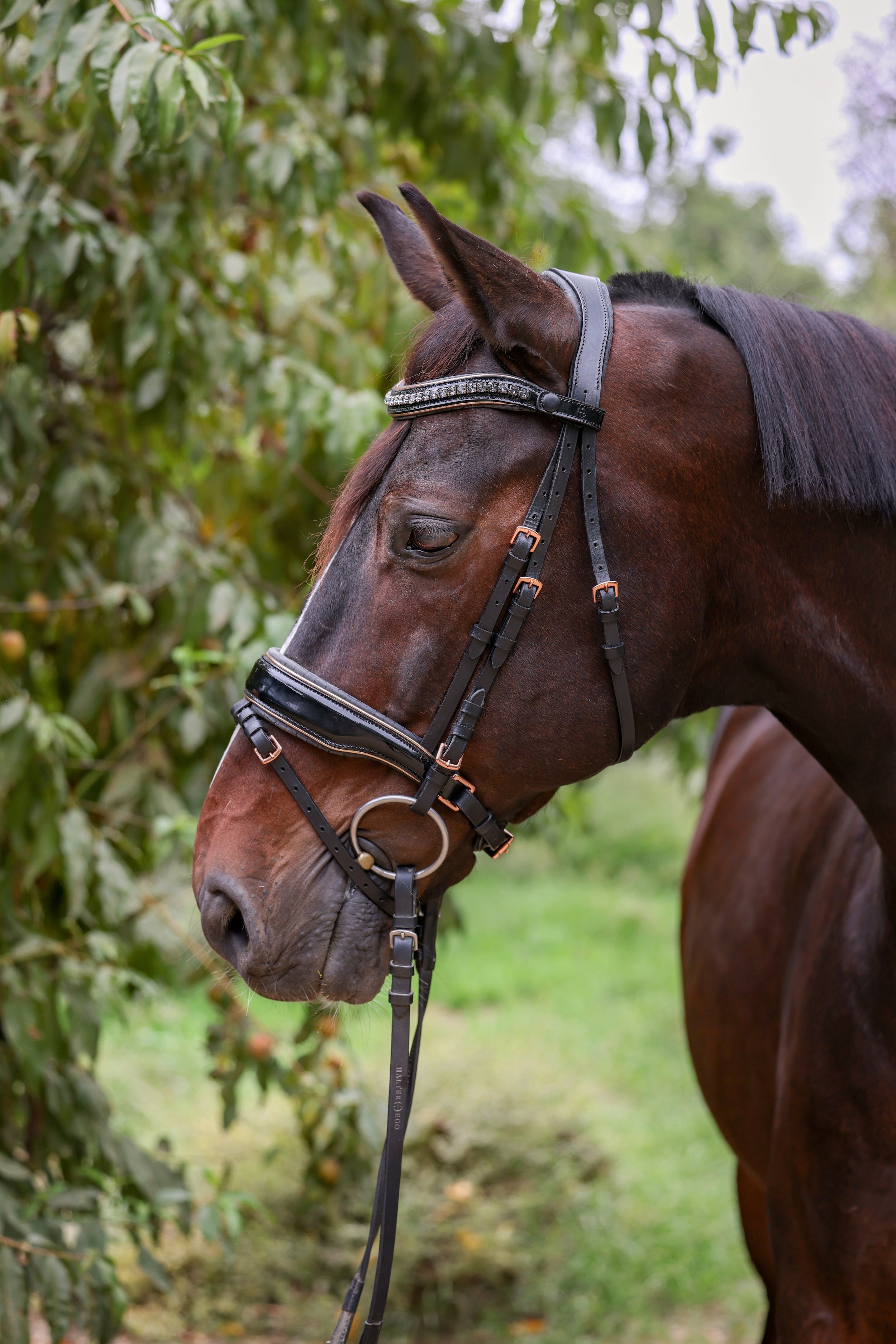 Halter Ego New Yorker Rose Gold Black Patent Snaffle Bridle - Halter Ego® - Equiluxe Tack