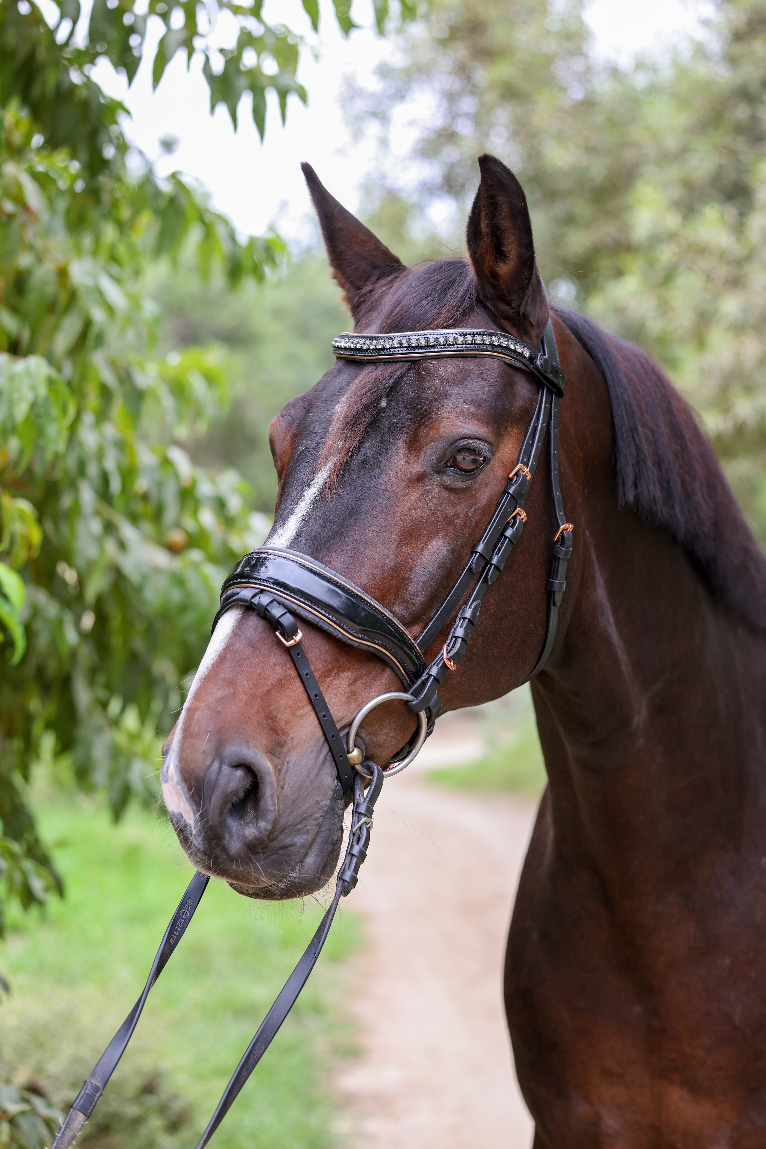 Halter Ego New Yorker Rose Gold Black Patent Snaffle Bridle - Halter Ego® - Equiluxe Tack